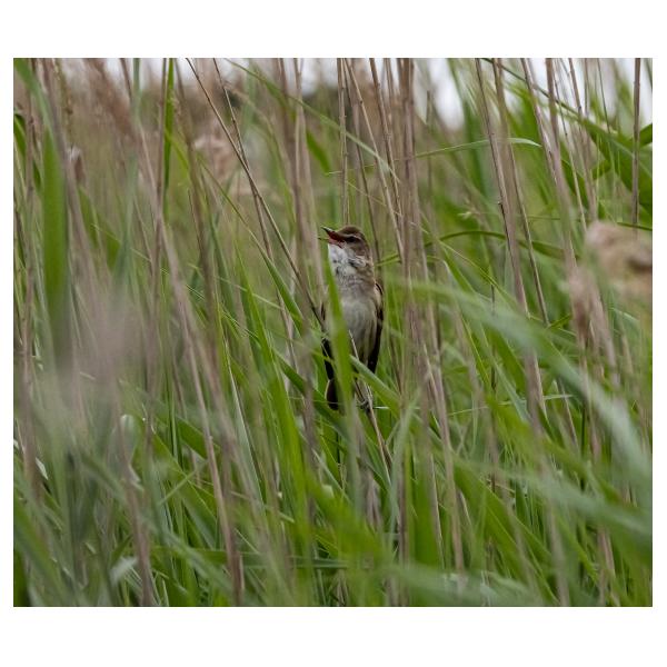 PHOTO84, CLUB, 84 , LUBERON